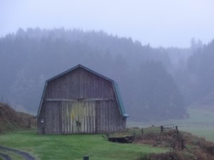 Barn on Beaver Creek