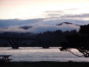 Foggy coastal morning