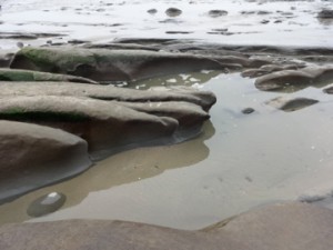 Finger Rocks, Ona Beach, Oregon