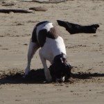 The joy of sand, Cannon Beach, Oregon