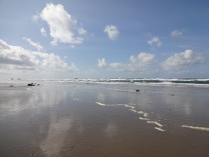 Sunshine on the Beach