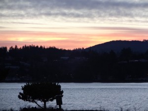 Sunrise just outside my room, Waldport, Or