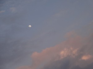 Moon