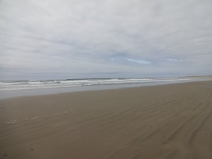 Shoreline in Southbeach, Oregon