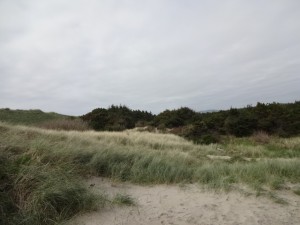 Sand dunes of Southbeach, Oregon